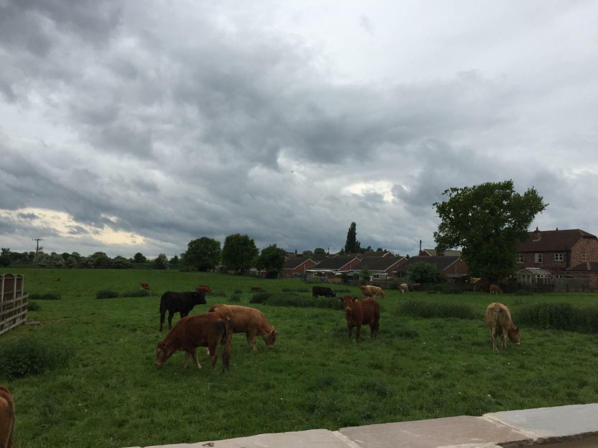 Fir Tree Barn Bed and Breakfast Pollington Εξωτερικό φωτογραφία